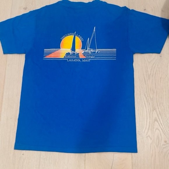 Blue Hanes Lahaina mens tee - Picture 1 of 3